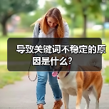 导致关键词不稳定的原因是什么？
