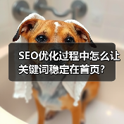 SEO优化过程中怎么让关键词稳定在首页？
