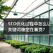 SEO优化过程中怎么让关键词稳定在首页？（图2）