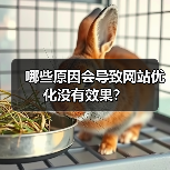 哪些原因会导致网站优化没有效果?(图4) 哪些原因会导致网站优化没有效果?(图4)