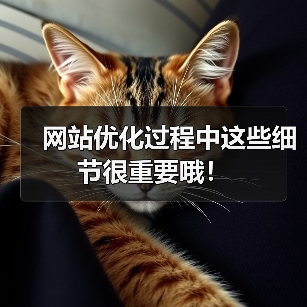 网站优化过程中这些细节很重要哦!(图3) 网站优化过程中这些细节很重要哦!(图3)