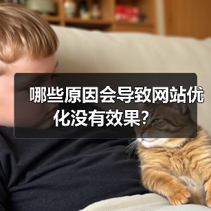 哪些原因会导致网站优化没有效果?(图3) 哪些原因会导致网站优化没有效果?(图3)