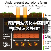 探析网站优化中遇到网站降权怎么处理？（图1）