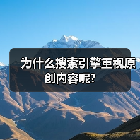 为什么搜索引擎重视原创内容呢?（图3）