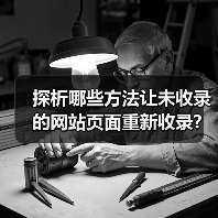 探析哪些方法让未收录的网站页面重新收录?(图1) 探析哪些方法让未收录的网站页面重新收录?(图1)