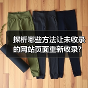 探析哪些方法让未收录的网站页面重新收录?(图2) 探析哪些方法让未收录的网站页面重新收录?(图2)