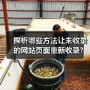 探析哪些方法让未收录的网站页面重新收录?(图3) 探析哪些方法让未收录的网站页面重新收录?(图3)
