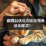 做网站优化应该如何选择关键词?(图3) 做网站优化应该如何选择关键词?(图3)