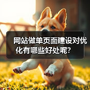 网站做单页面建设对优化有哪些好处呢？