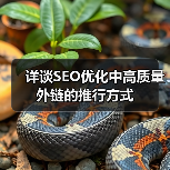 详谈SEO优化中高质量外链的推行方式