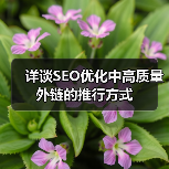 详谈SEO优化中高质量外链的推行方式（图3）