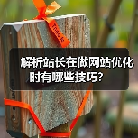 解析站长在做网站优化时有哪些技巧？（图3）