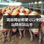 完善网站哪里可以使网站降低跳出率（图3）