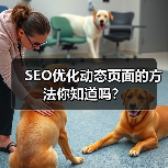 SEO优化动态页面的方法你知道吗？（图3）