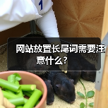 网站放置长尾词需要注意什么？（图4）