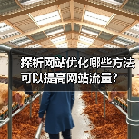 探析网站优化哪些方法可以提高网站流量?(图4) 探析网站优化哪些方法可以提高网站流量?(图4)