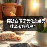 网站在做了优化之后为什么没有客户？（图2）