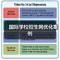 国际学校招生网优化案例（图1）
