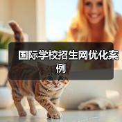 国际学校招生网优化案例（图4）
