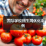 国际学校招生网优化案例（图2）