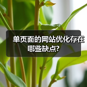 单页面的网站优化存在哪些缺点?（图4）