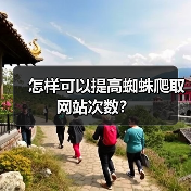 怎样可以提高蜘蛛爬取网站次数？（图3）