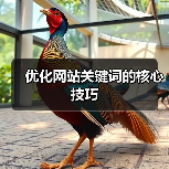 优化网站关键词的核心技巧（图3）
