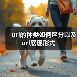 url的种类如何区分以及url展现形式（图2）