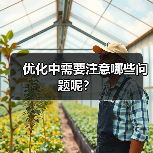 优化中需要注意哪些问题呢？（图2）