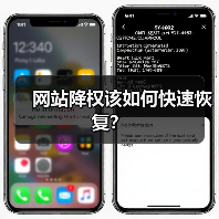 网站降权该如何快速恢复？（图4）