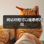 网站标题可以随意修改吗（图3）