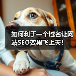 如何利于一个域名让网站SEO效果飞上天！（图4）
