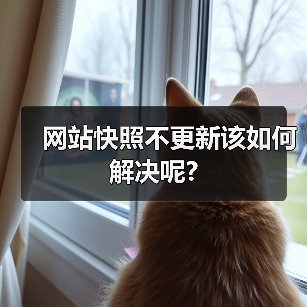网站快照不更新该如何解决呢?（图1）