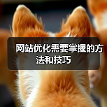 网站优化需要掌握的方法和技巧（图1）