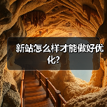 新站怎么样才能做好优化?