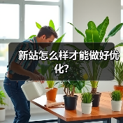 新站怎么样才能做好优化?（图4）
