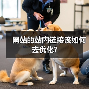 网站的站内链接该如何去优化?（图4）
