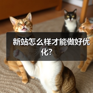 新站怎么样才能做好优化?（图2）