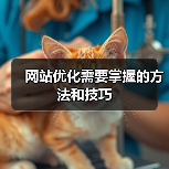网站优化需要掌握的方法和技巧（图2）