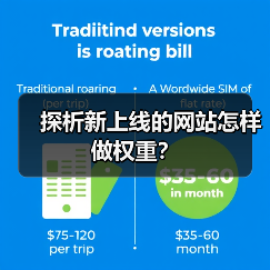 探析新上线的网站怎样做权重？（图3）