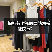 探析新上线的网站怎样做权重？（图4）