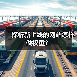 探析新上线的网站怎样做权重？（图2）