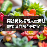 网站优化撰写文章标题需要注意哪些问题？（图1）
