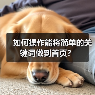 如何操作能将简单的关键词做到首页？（图3）