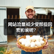 网站流量减少受那些因素影响呢？（图1）