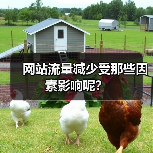 网站流量减少受那些因素影响呢？（图3）