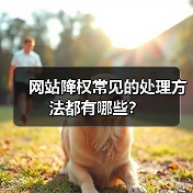 网站降权常见的处理方法都有哪些？（图2）