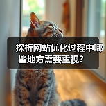 探析网站优化过程中哪些地方需要重视？（图2）