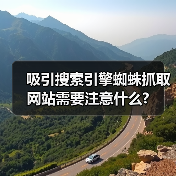 吸引搜索引擎蜘蛛抓取网站需要注意什么?