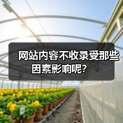 网站内容不收录受那些因素影响呢？（图3）